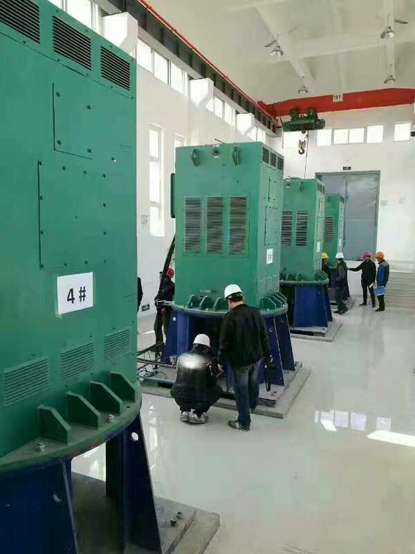 Z4-450-32某污水处理厂使用我厂的立式高压电机安装现场